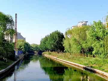 yinqiang