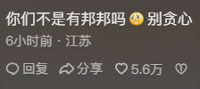 熊猫派派福基金，国际公益的新篇章 熊猫派派福基金