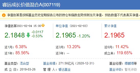 基金的持仓股票，深度解析与市场影响 基金的持仓股票