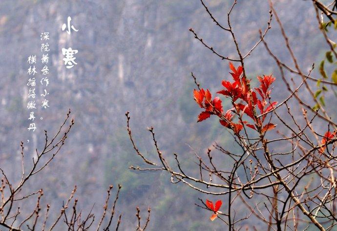 大智慧基金销售，市场动态与未来展望 大智慧基金销售