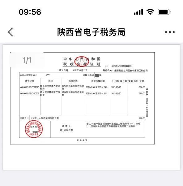 社会保险专用收据，保障民生权益的重要凭证 社会保险专用收据