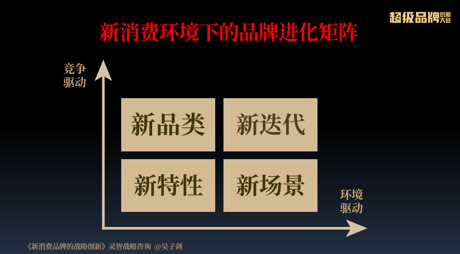 南坪保险公司的创新之路与市场策略 南坪保险公司