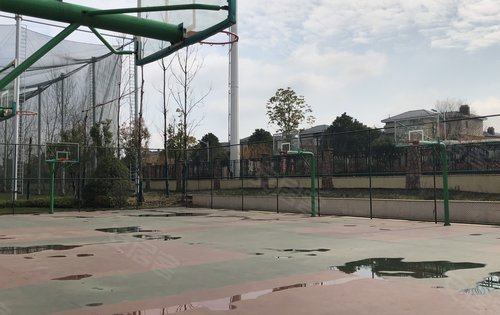 小区篮球场地的活力与变迁 小区篮球场地