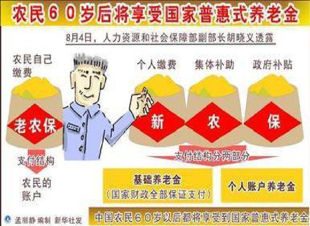 山东新农和保险，农村保障的新篇章 山东新农和保险
