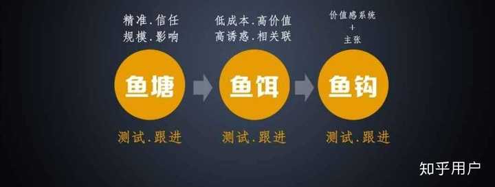理财之路，鲤鱼与财富管理的关系 理财有必要买鲤鱼吗