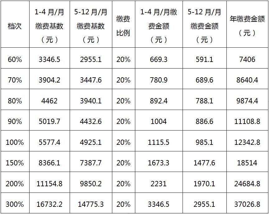 工行保险查询指南 工行的保险怎么查