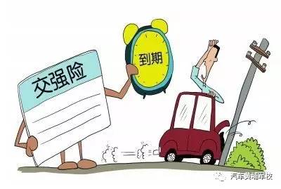汽车保险购买指南，如何选择合适的保险渠道？汽车保险去哪买