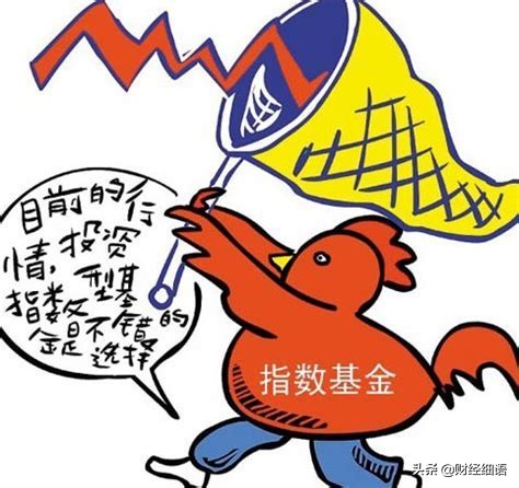 掌握基金投资的小技巧 基金的小技巧是什么
