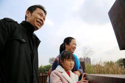 理财公司投资策略，如何合理分配资金 理财公司需要投资什么钱