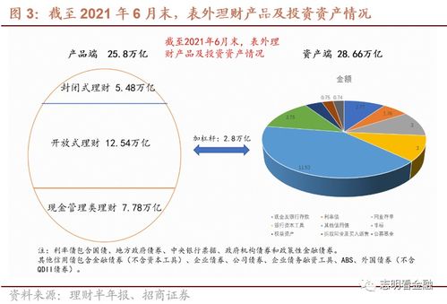 稳健理财工具的选择与市场分析 理财工具哪个稳定