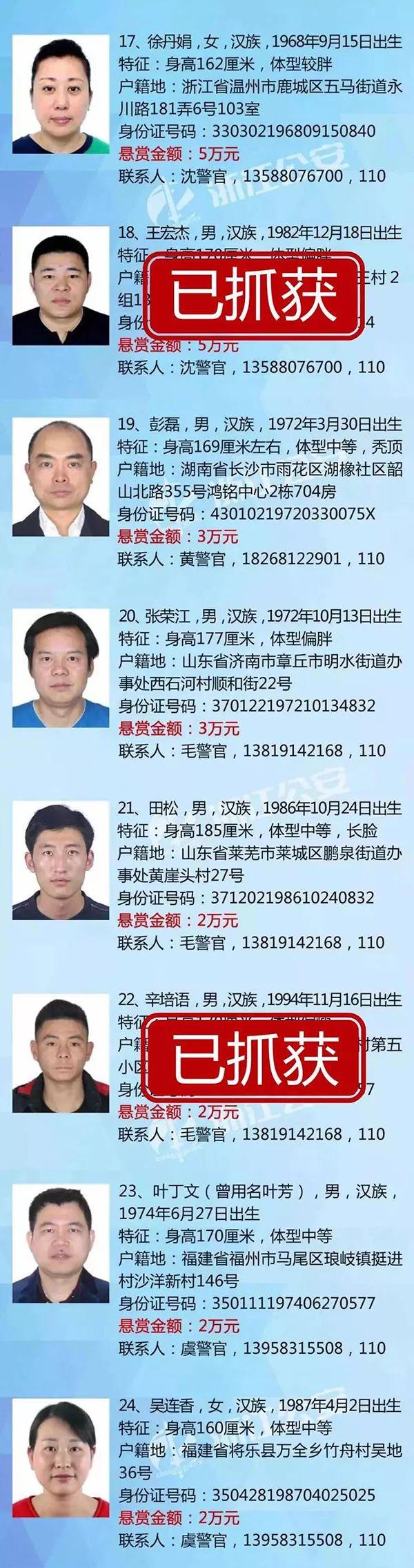 石头理财官方网，稳健理财的新选择 石头理财官方网