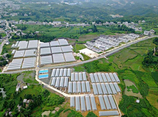 县城基金投资项目概览 县城基金投资项目有哪些