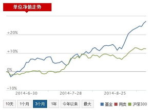 股票型基金整体市净率，市场动态与投资策略分析 股票型基金整体市净率