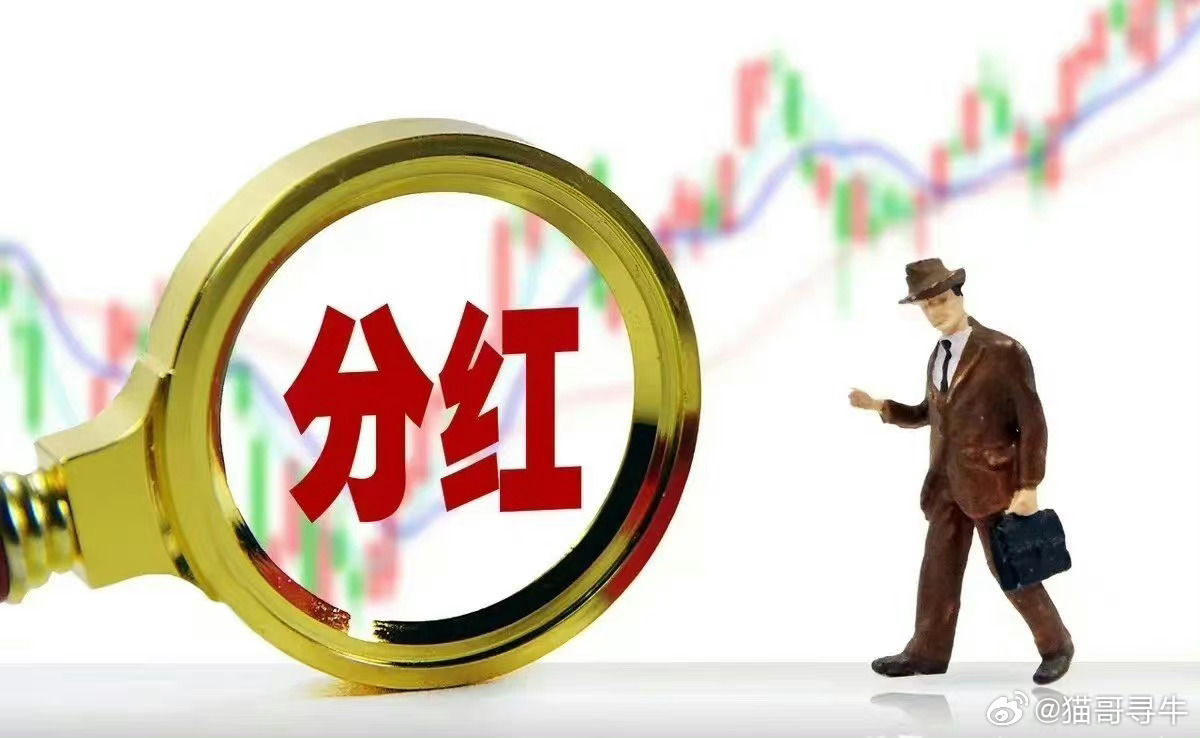 基金的默认分红，投资策略与市场动态的深度解析 基金的默认分红