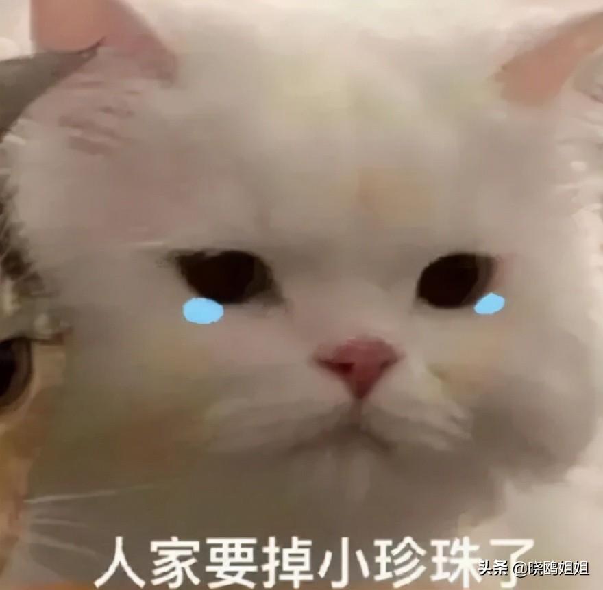 天天基金的持仓价格，市场动态与投资策略分析 天天基金的持仓价格