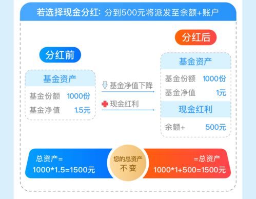 基金折算与分红，投资策略的双重选择 基金折算和分红哪个好