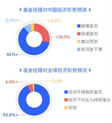 操盘手的基金经理，市场风云中的决策与智慧 操盘手的基金经理
