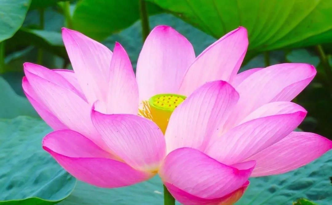 名师理财课堂，解锁财富之门的智慧与策略 名师理财课堂
