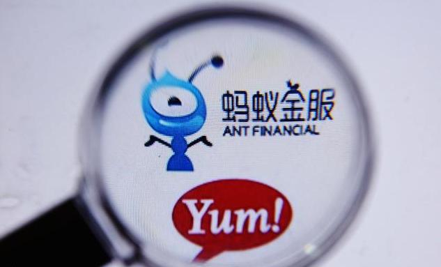 蚂蚁理财狂跌，市场震荡下的深度解析 蚂蚁理财狂跌