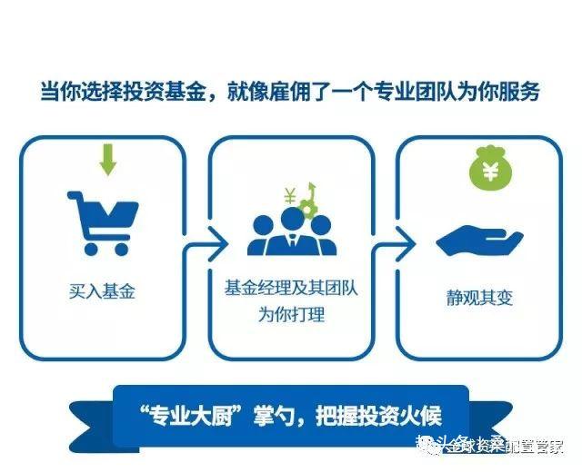 基金投资策略，在众多基金中如何选择 在下列各种基金中