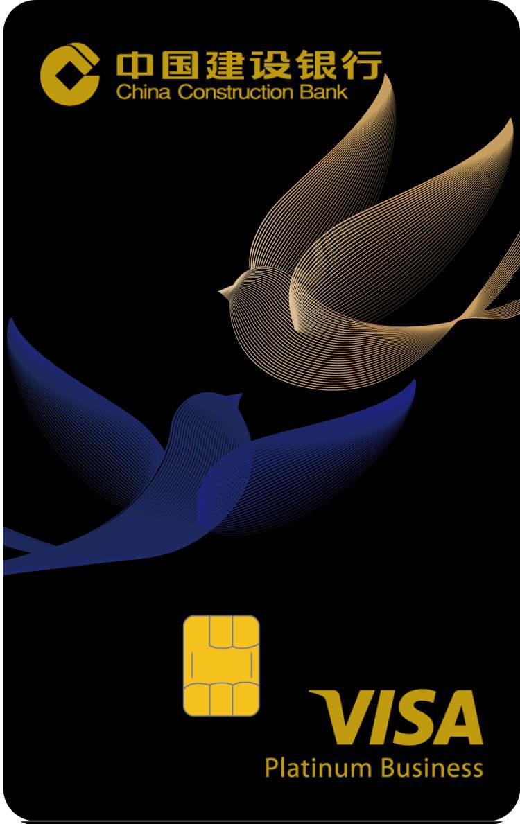 建行理财白金卡visa，金融新时代的便捷之选 建行理财白金卡visa