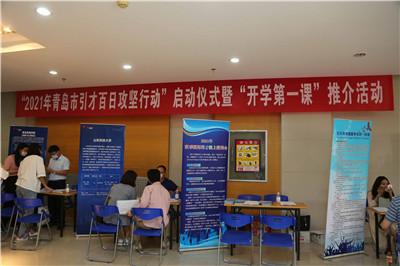 理财实习内容，从理论到实践的探索与成长 理财实习内容