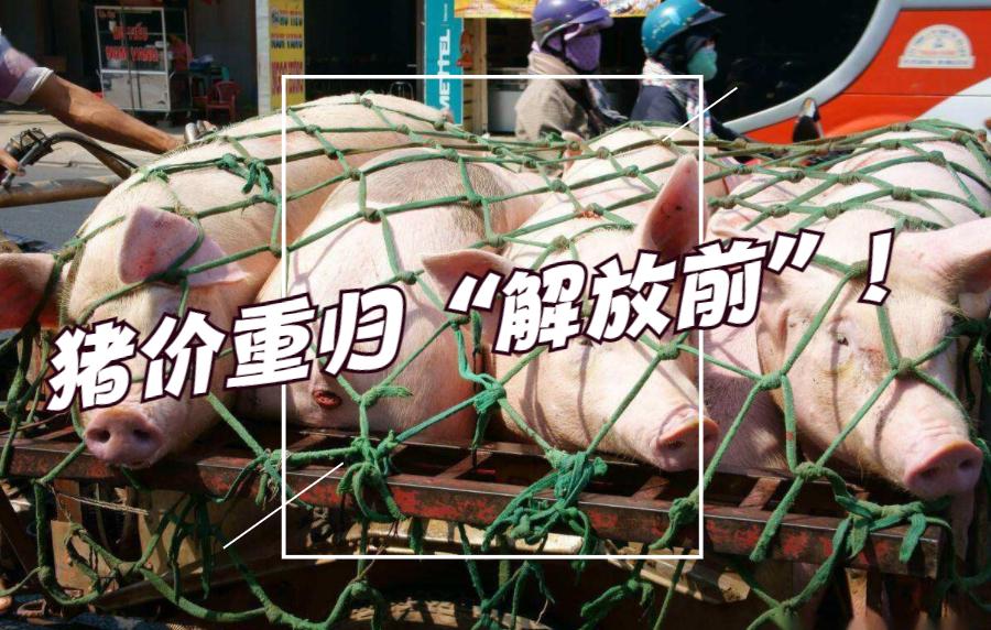 基金市场震荡，原因何在？基金为啥猛跌了